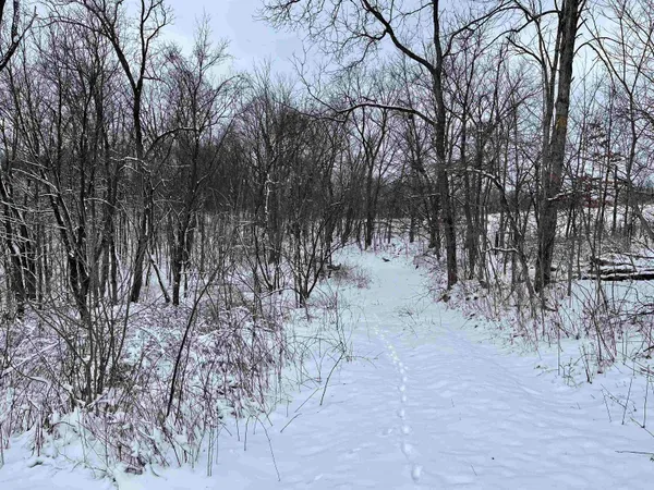 $710,000 | 79 Acres Byers Road, Boscobel, WI 53805