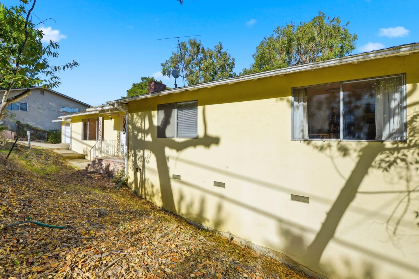 3915 Kingridge Drive San Mateo, CA 94403 - Photo 42 of 47 a view of a house with a large tree