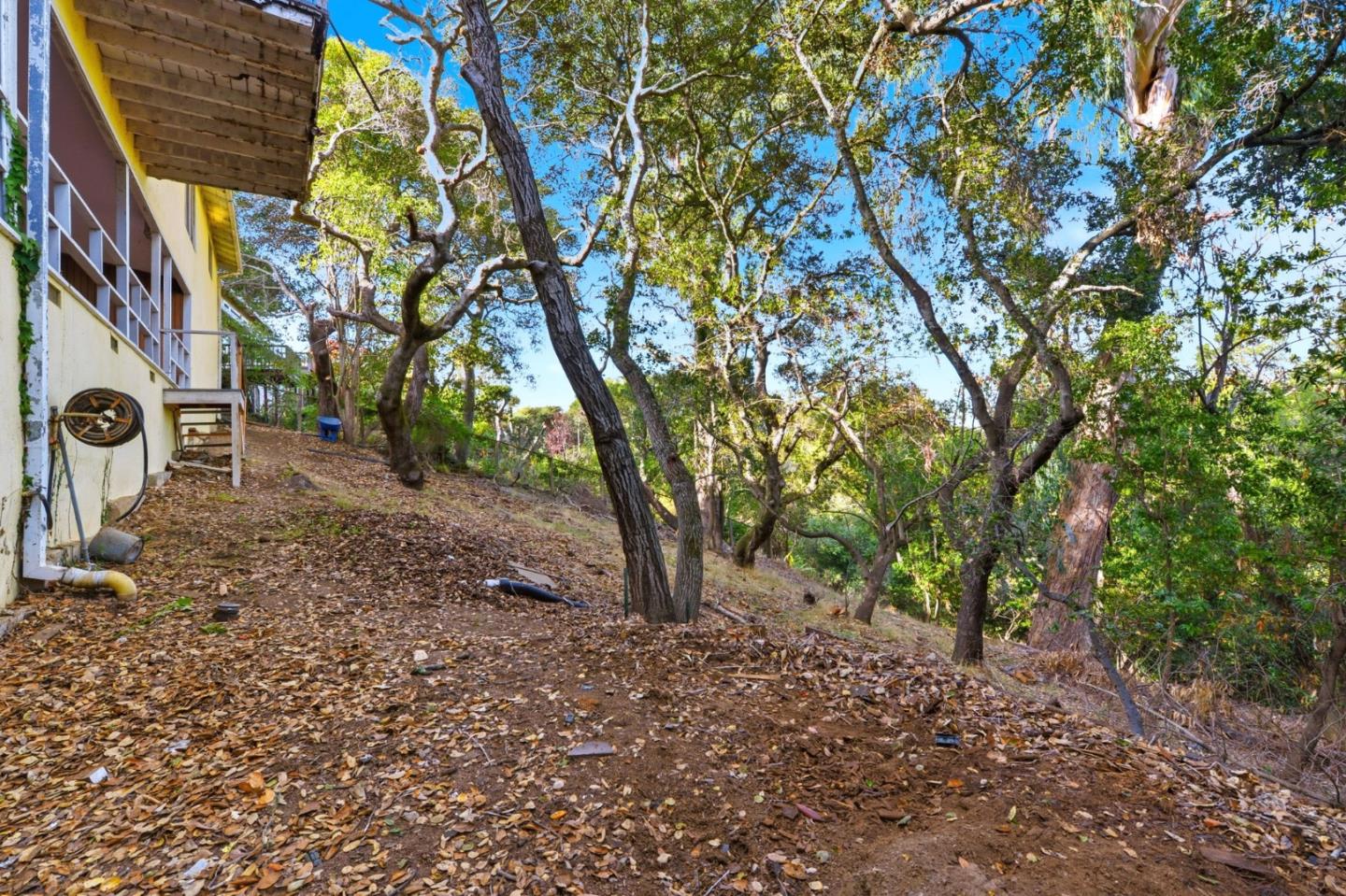 3915 Kingridge Drive San Mateo, CA 94403 - Photo 44 of 47 a view of a backyard with large trees