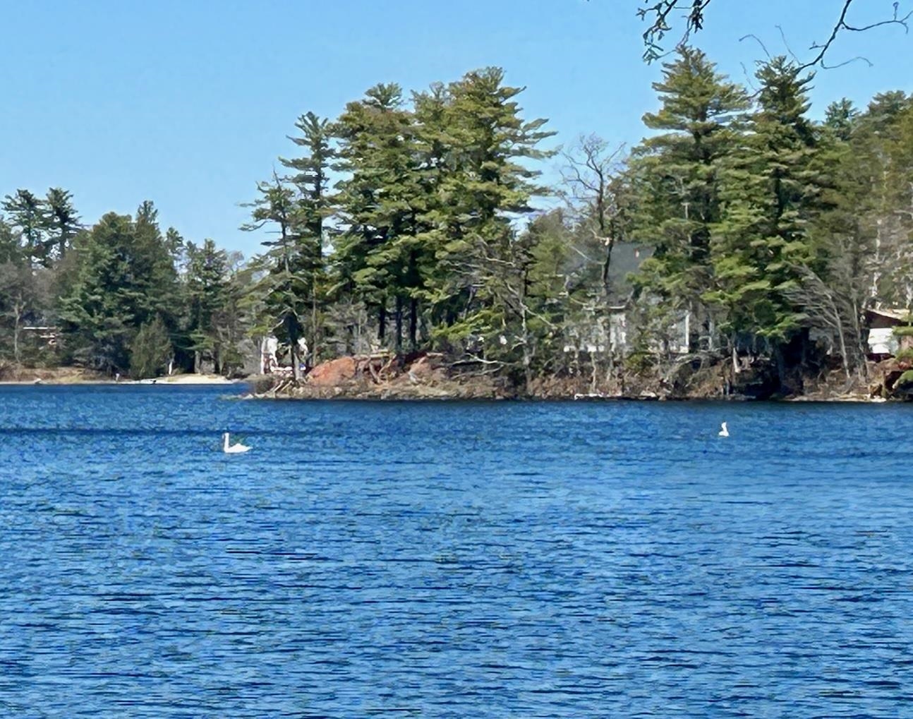 25 Wenmarks Road Newton, NH 03858 - Photo 1 of 40