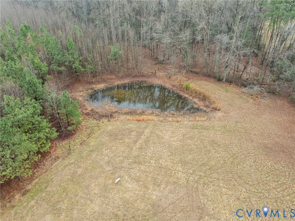 1397 Dorset Road Powhatan, VA 23139 - Photo 35 of 43 PRIVATE FRESHWATER POND!!!