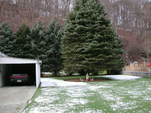 2580 Douglas Run Road Elizabeth, PA 15037 - Photo 8 of 8 Gallery Image 8