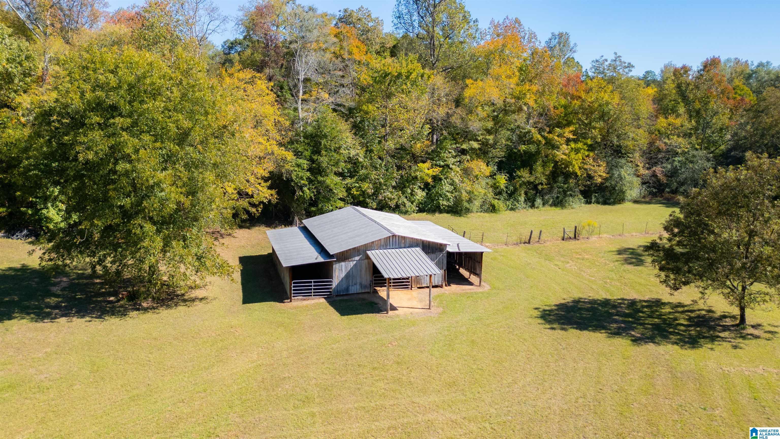 80 Lloyds Road Wellington, AL 36279 - Photo 5 of 51