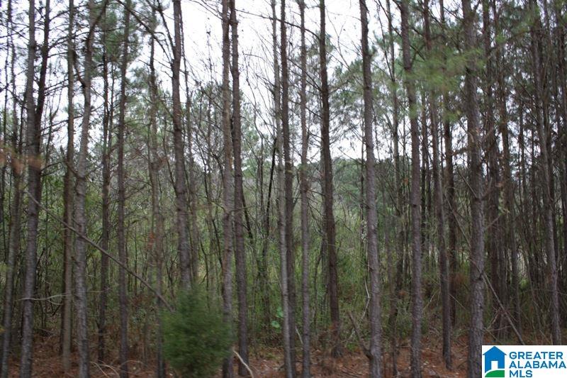 Old Choccolocco Road, Unit 97 Weaver, AL 36277 - Photo 14 of 27
