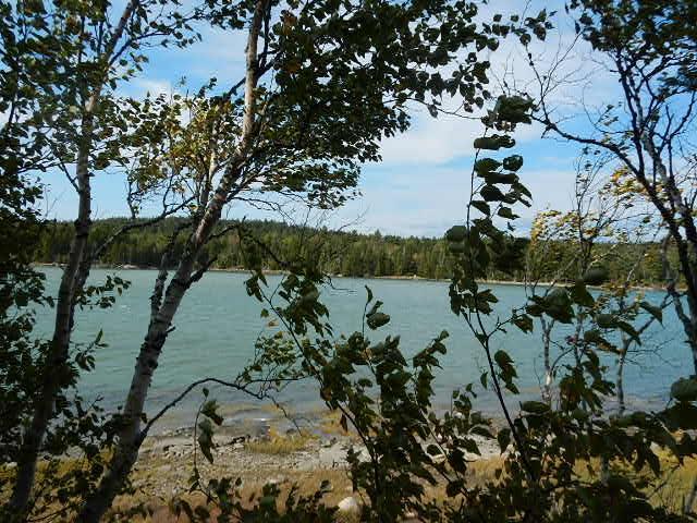 536 Grand Marsh Bay Road Corea, ME 04624 - Photo 20 of 34 Photo