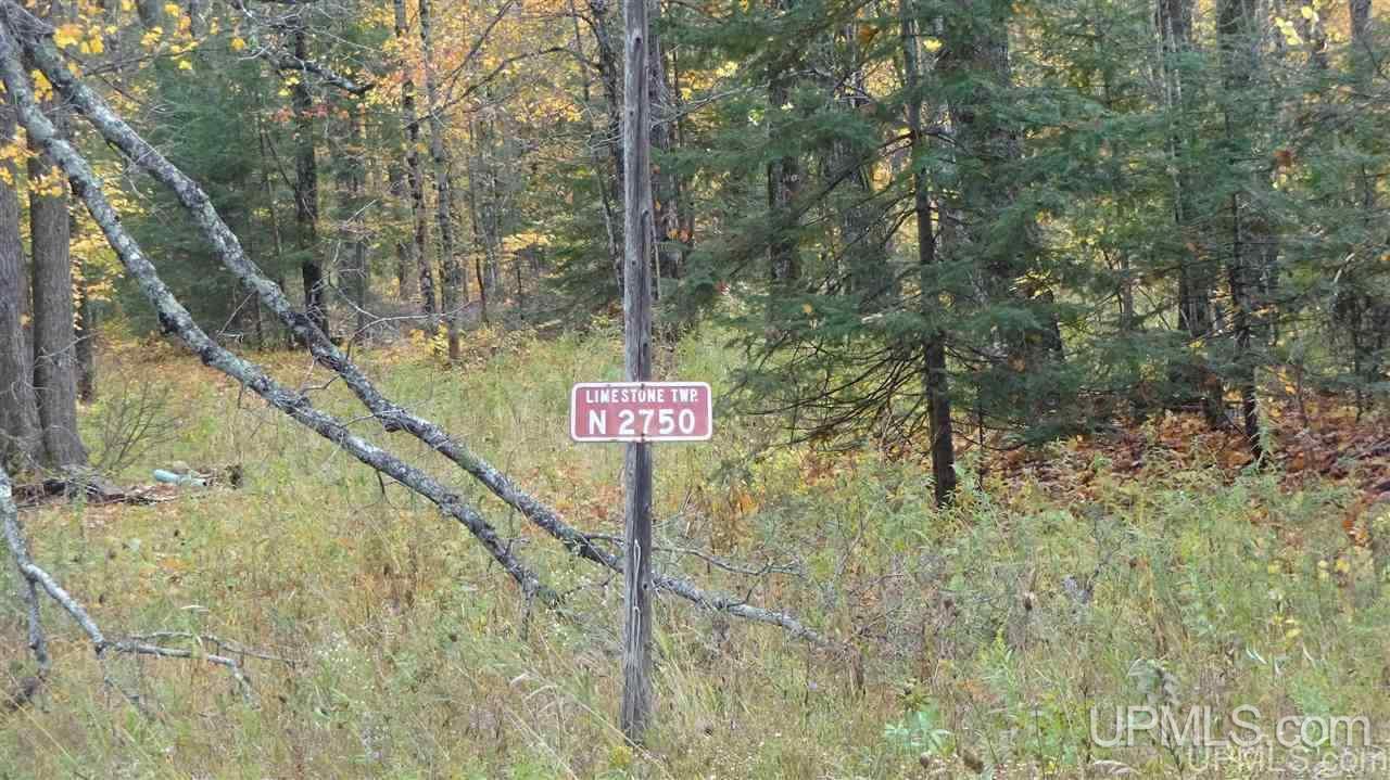 N2750 East T Road Trenary, MI 49891 - Photo 2 of 18