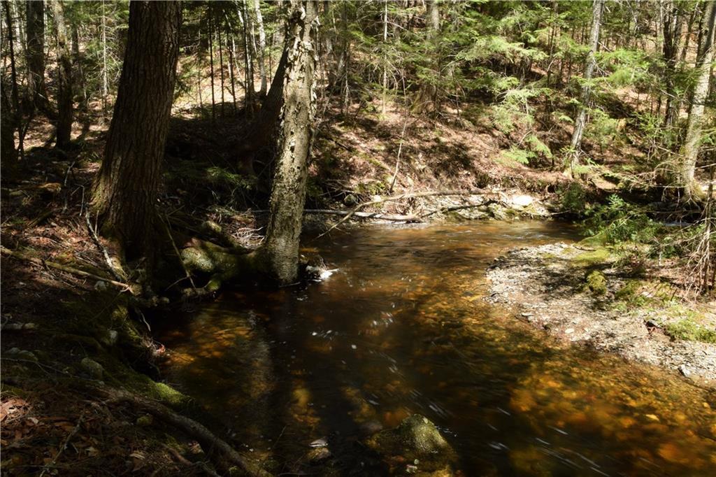 0 Shep Road Springfield, ME 04487 - Photo 11 of 23 Forest lined Trout stream