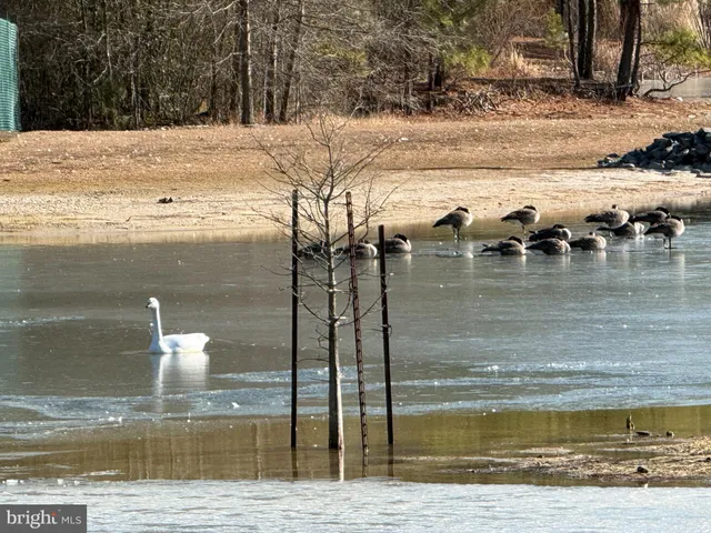 $159,000 | 26595 Blue Jay Lane, Hebron, MD 21830