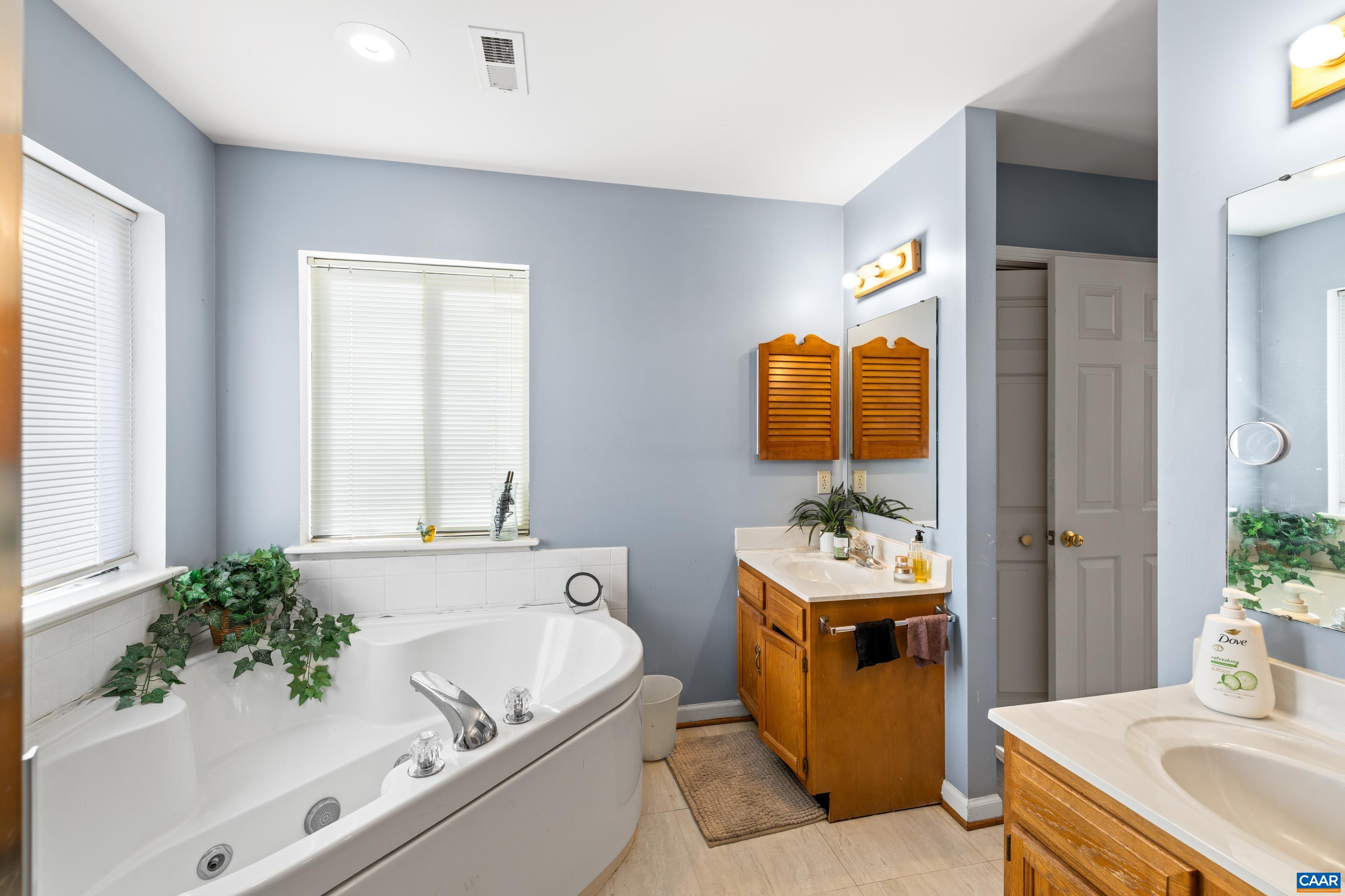 465 Hidden Ridge Road Charlottesville, VA 22902 - Photo 30 of 63 a bathroom with a sink and a mirror