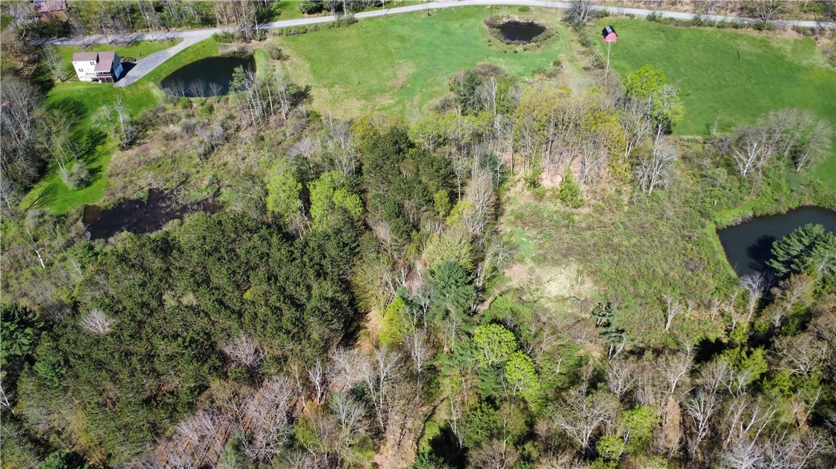 Glimmerglen Road Cooperstown, NY 13326 - Photo 6 of 9