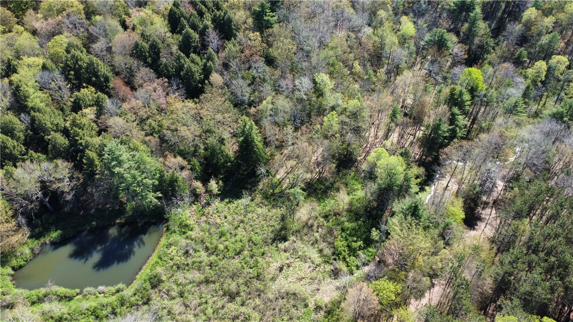 Glimmerglen Road Cooperstown, NY 13326 - Photo 7 of 9