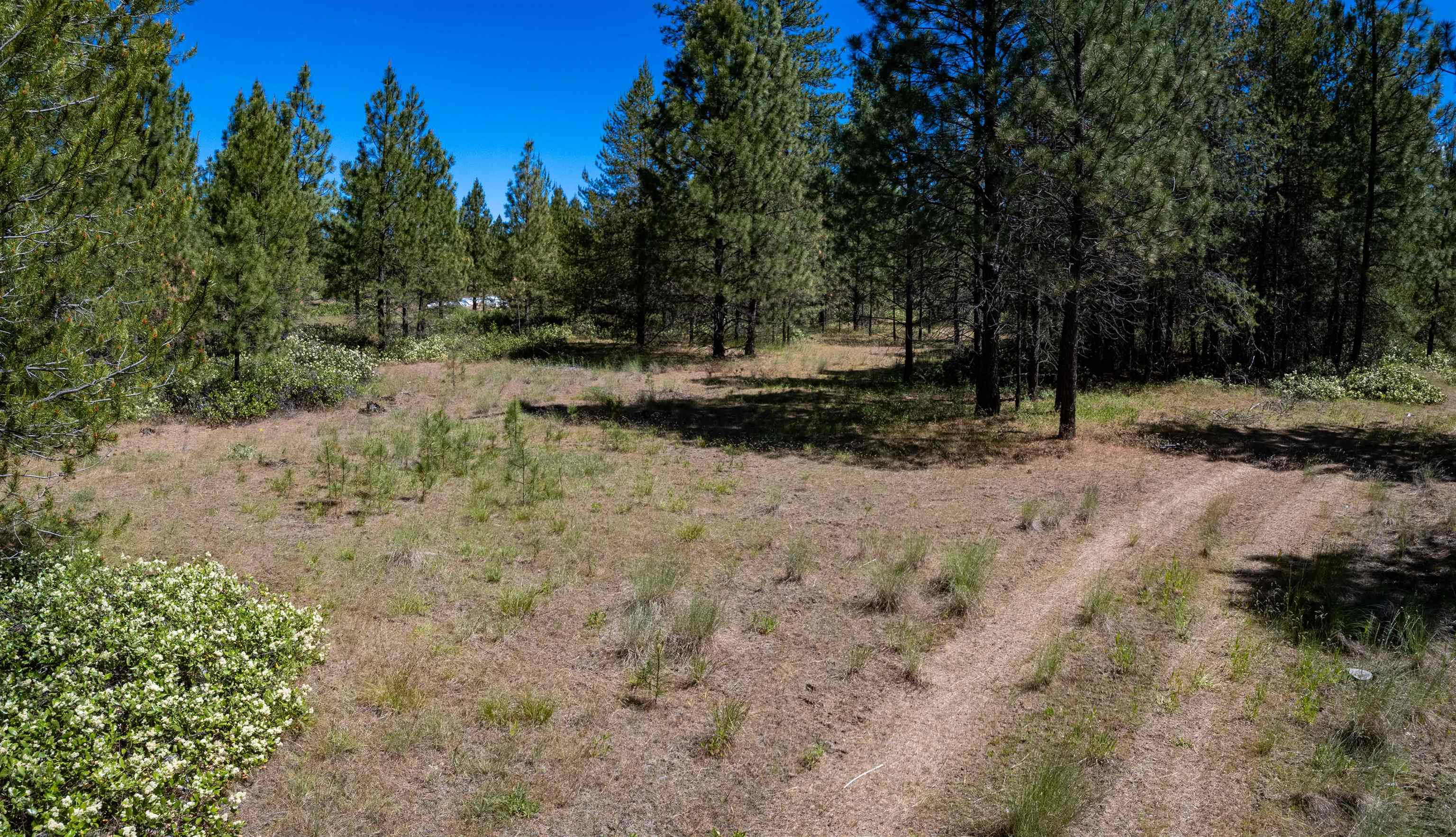 29-xxx North Hardesty Road Chattaroy, WA 99003 - Photo 4 of 40