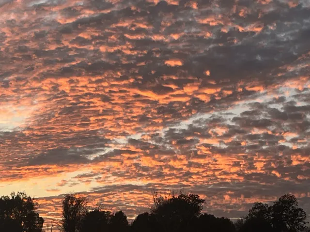 $920,000 | 1761 Jameson Drive, Franklin, TN 37064