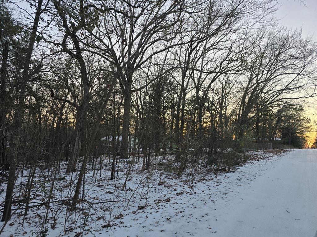 Lot 752 Doe Run Road Gun Barrel City, TX 75156 - Photo 2 of 5 a view of outdoor space with trees