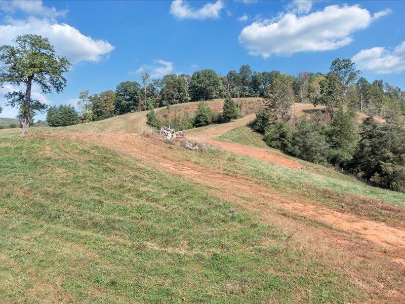 0 Prillaman Switch Road Ferrum, VA 24088 - Photo 22 of 46 a view of a backyard of the house