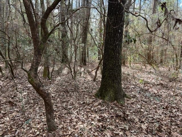 0 Adams Pond Road Opp, AL 36467 - Photo 16 of 19 Gallery Image 16