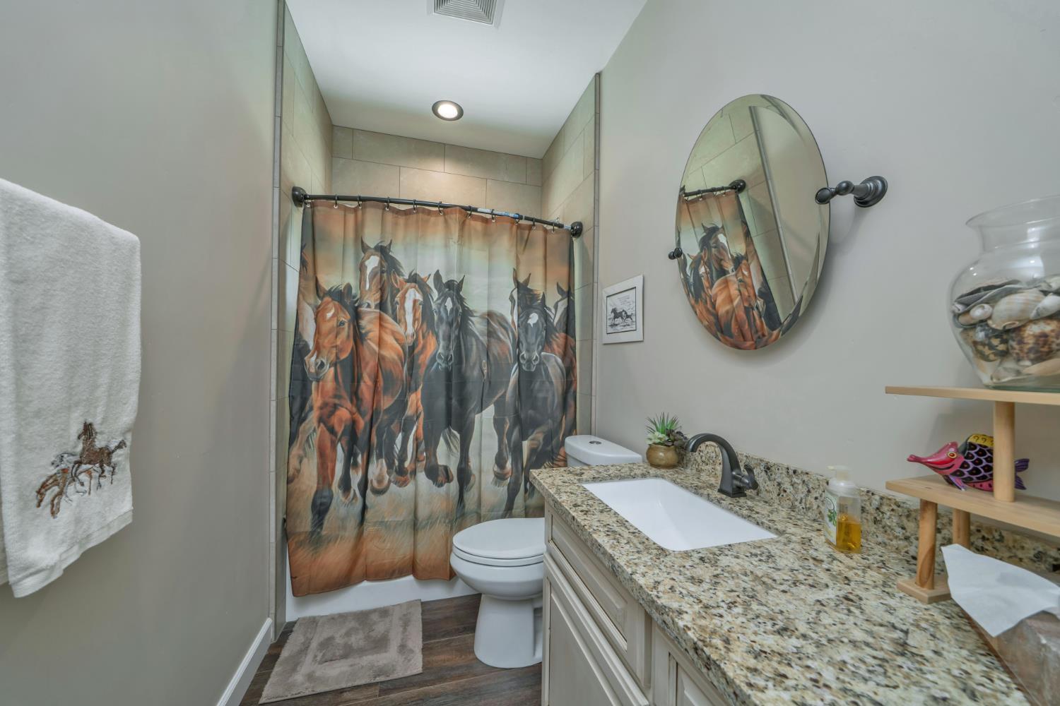 2469 Secret Ravine Trail Cool, CA 95614 - Photo 24 of 80