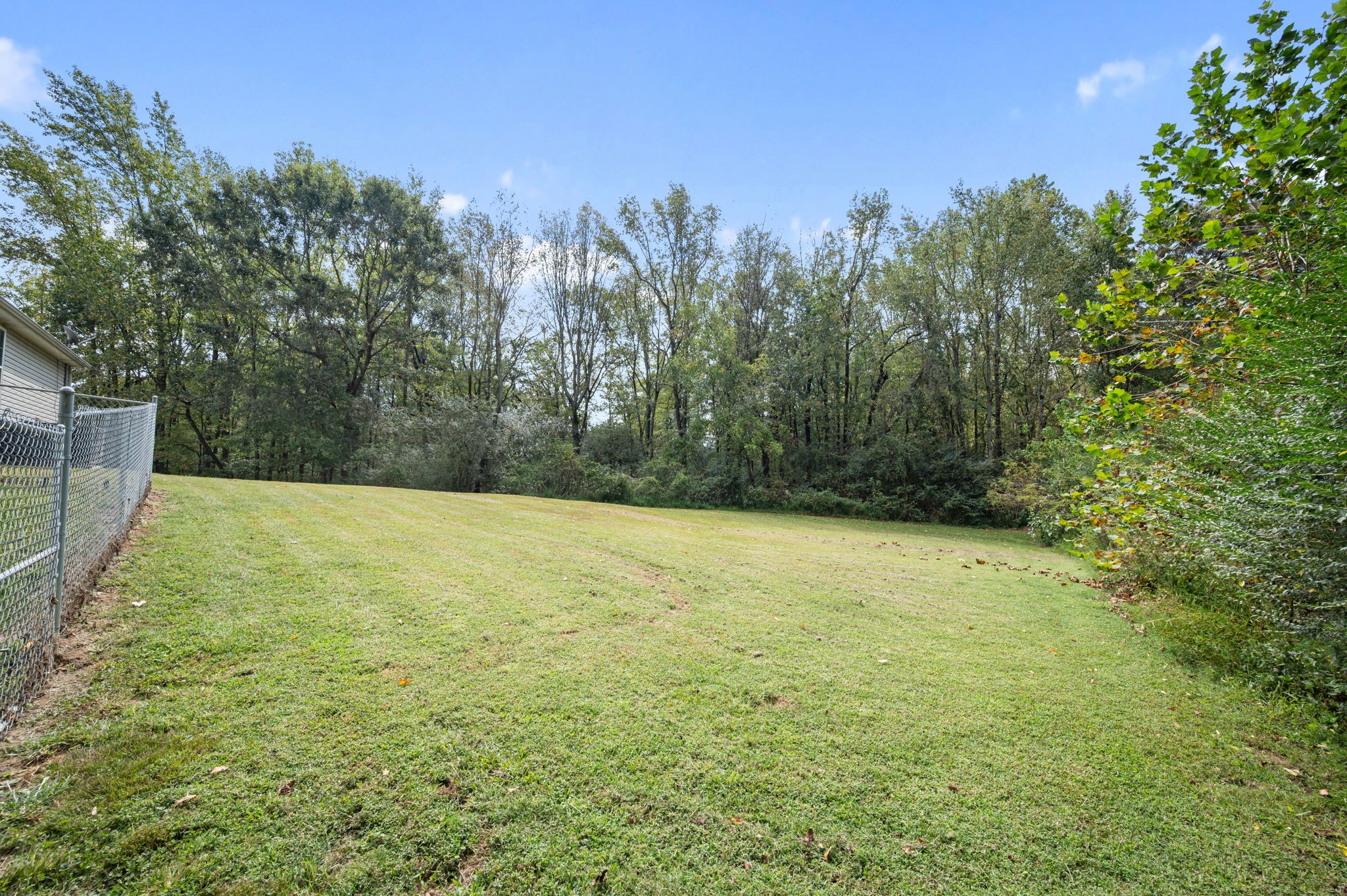 121 Wells Lee Road Elora, TN 37328 - Photo 34 of 48 a view of a yard