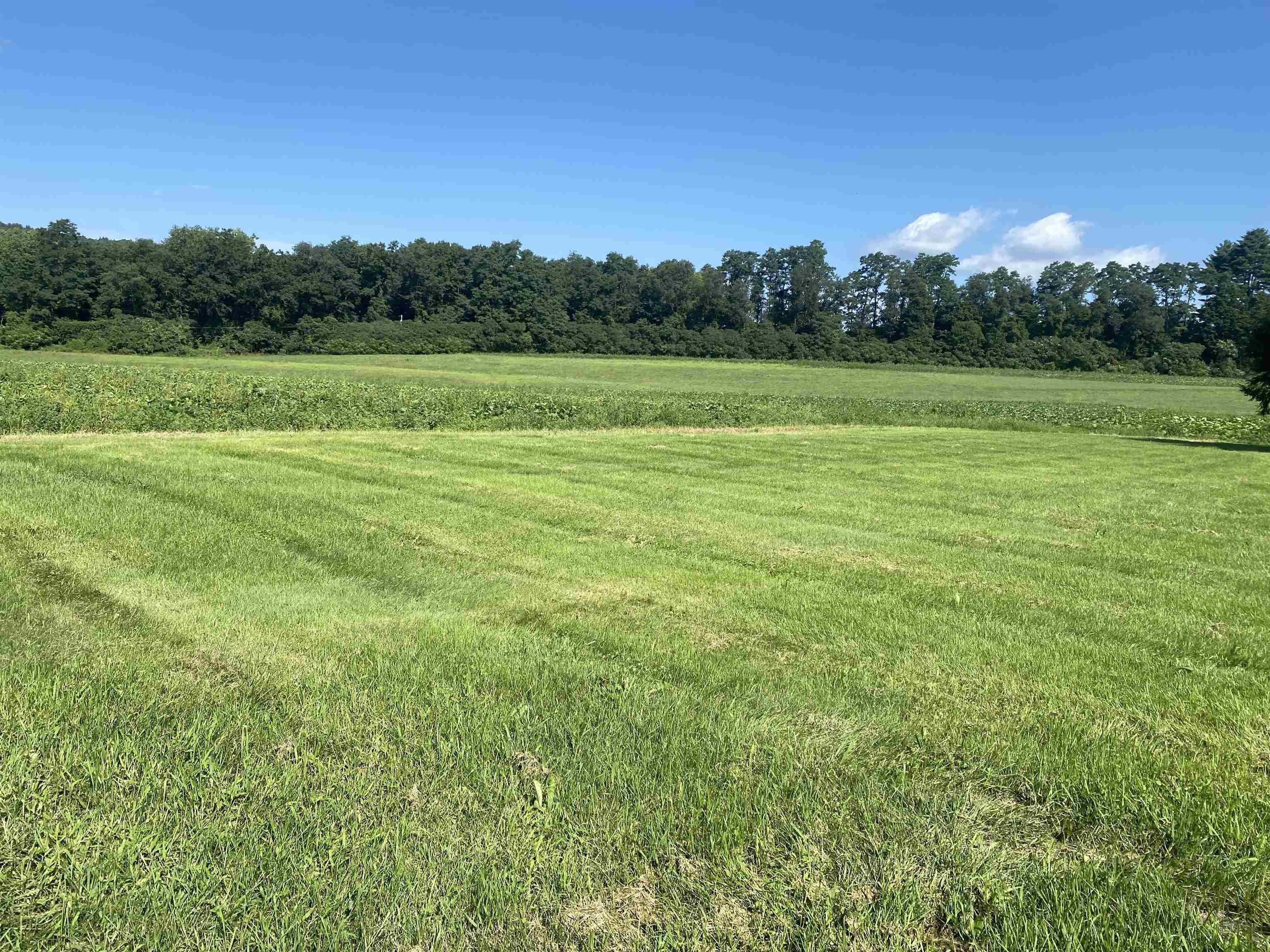 601 River Road South Putney, VT 05346 - Photo 5 of 11