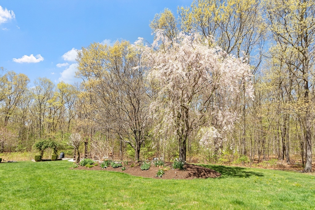 116 Coburn Road Berlin, MA 01503 - Photo 42 of 42 a view of backyard with green space