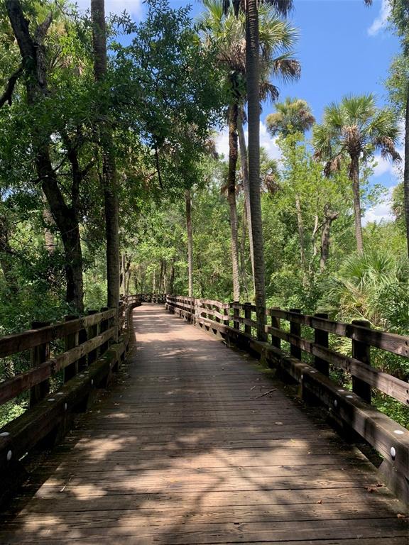 1181 Castle Pines Court Reunion, FL 34747 - Photo 76 of 76