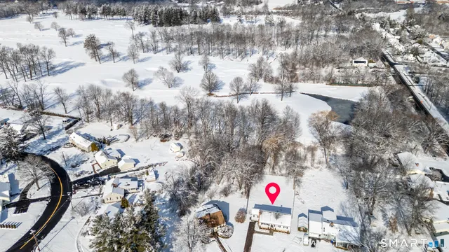a view of lot of trees and snow on side of road