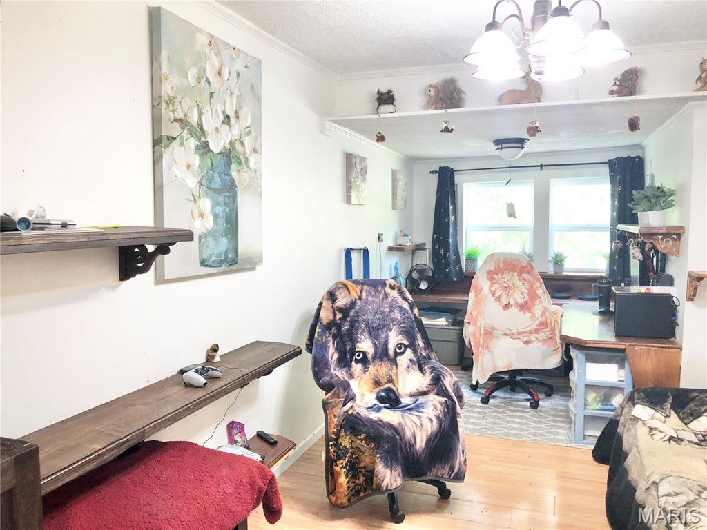 1003 West Ellis Street Salem, MO 65560 - Photo 18 of 44