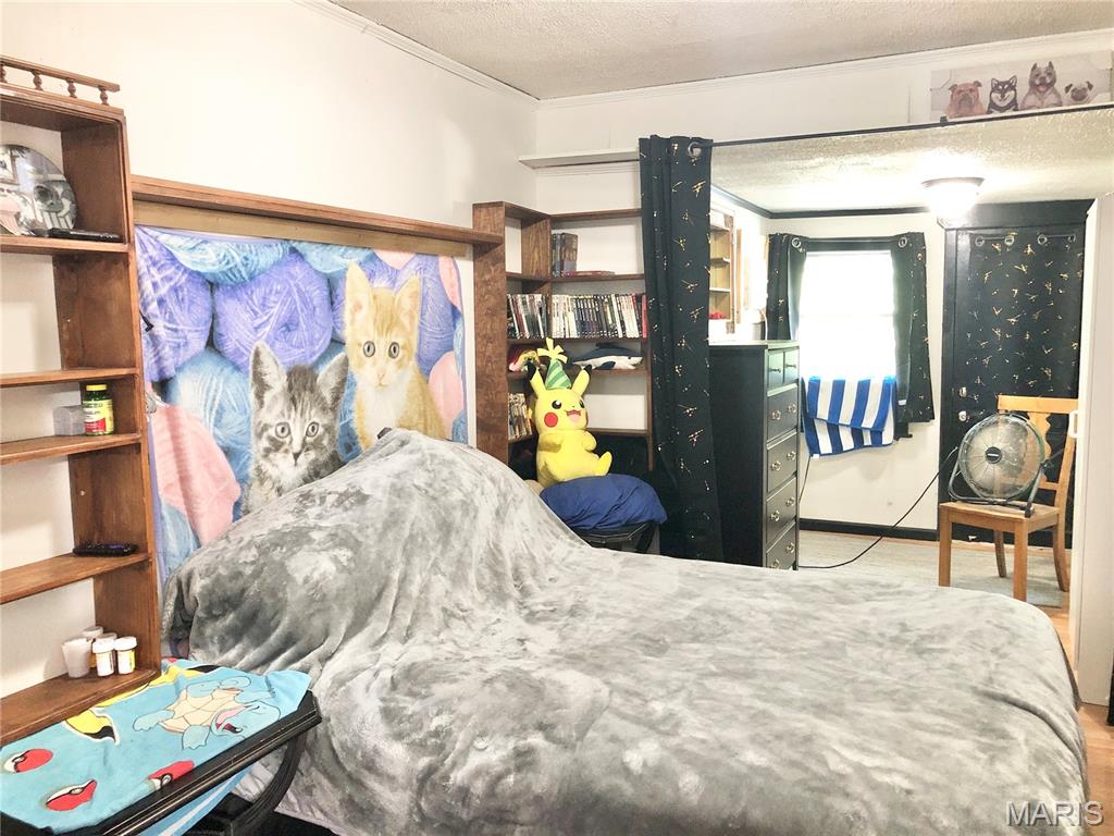 1003 West Ellis Street Salem, MO 65560 - Photo 2 of 44