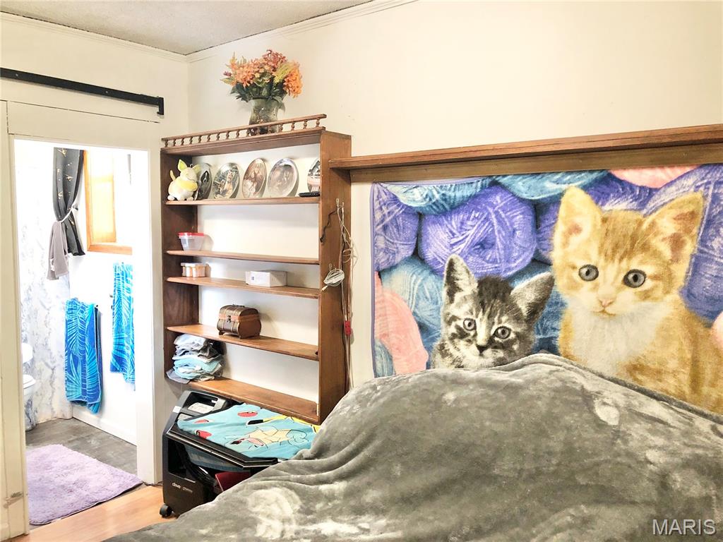 1003 West Ellis Street Salem, MO 65560 - Photo 6 of 44