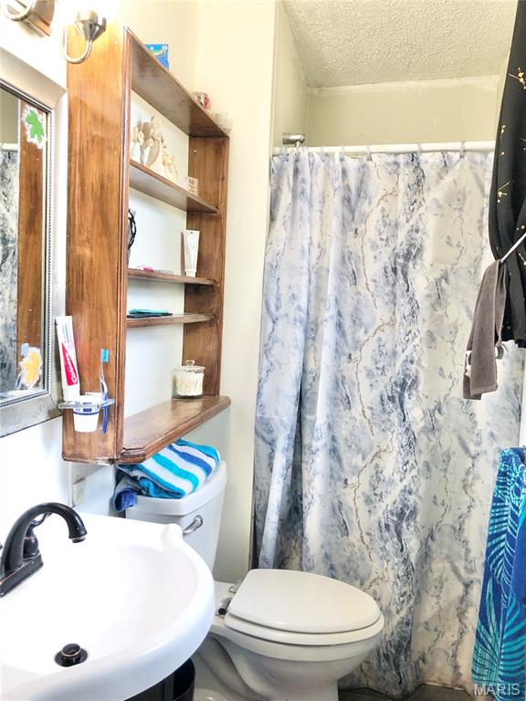 1003 West Ellis Street Salem, MO 65560 - Photo 7 of 44