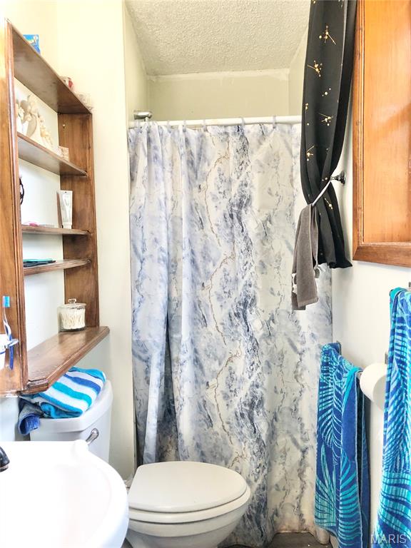 1003 West Ellis Street Salem, MO 65560 - Photo 8 of 44