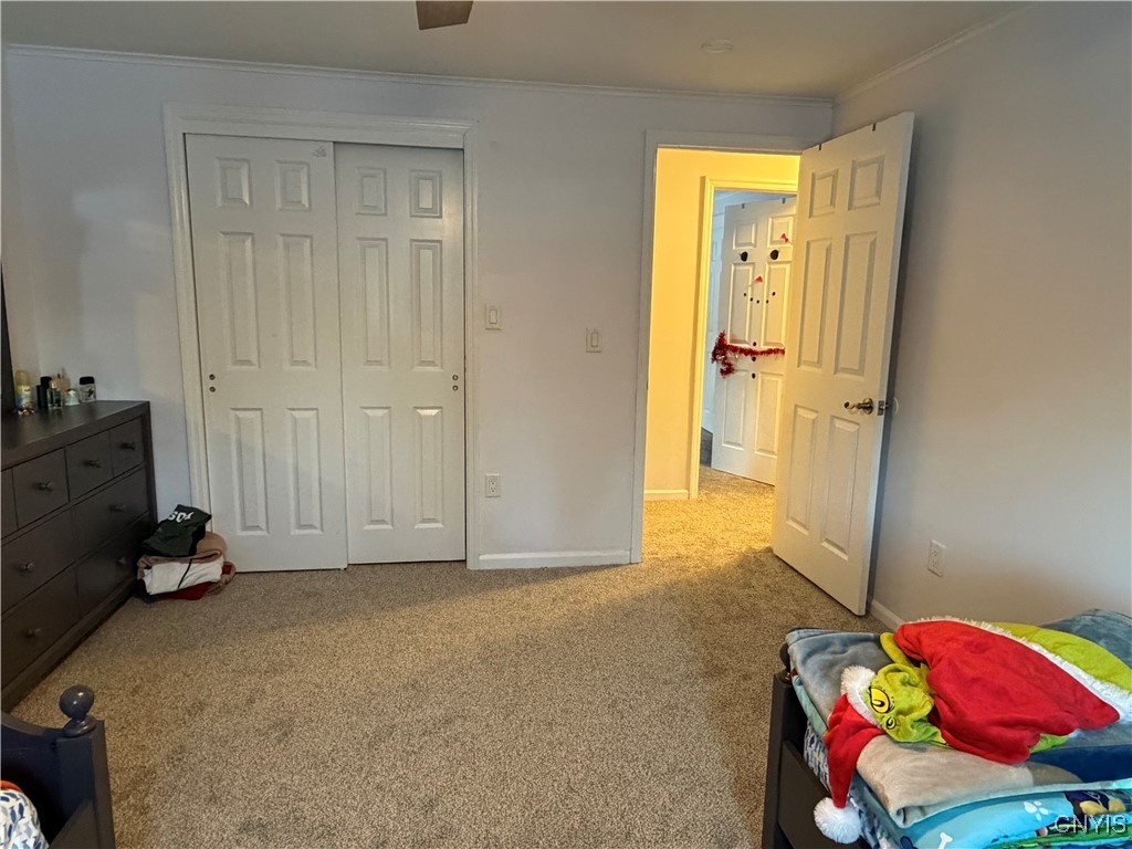 7667 Charlemont Drive Manlius, NY 13104 - Photo 17 of 33