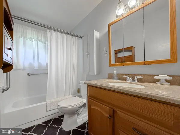 a bathroom with a sink toilet and mirror