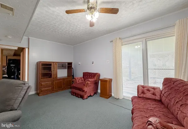 a living room with furniture and a lamp