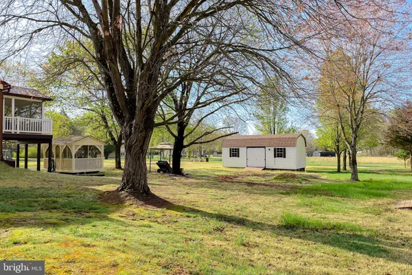 a view of a yard with a large tree