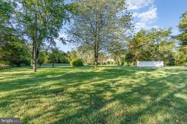 a view of a park with large trees