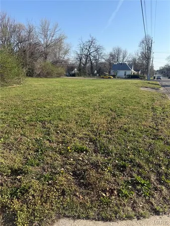 $20,000 | 311 Polk Street, Lebanon, MO 65536