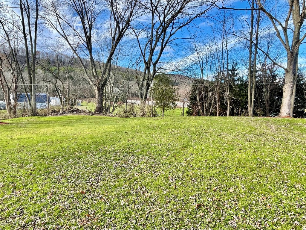 411 Halsey Valley Road Barton, NY 13734 - Photo 41 of 50