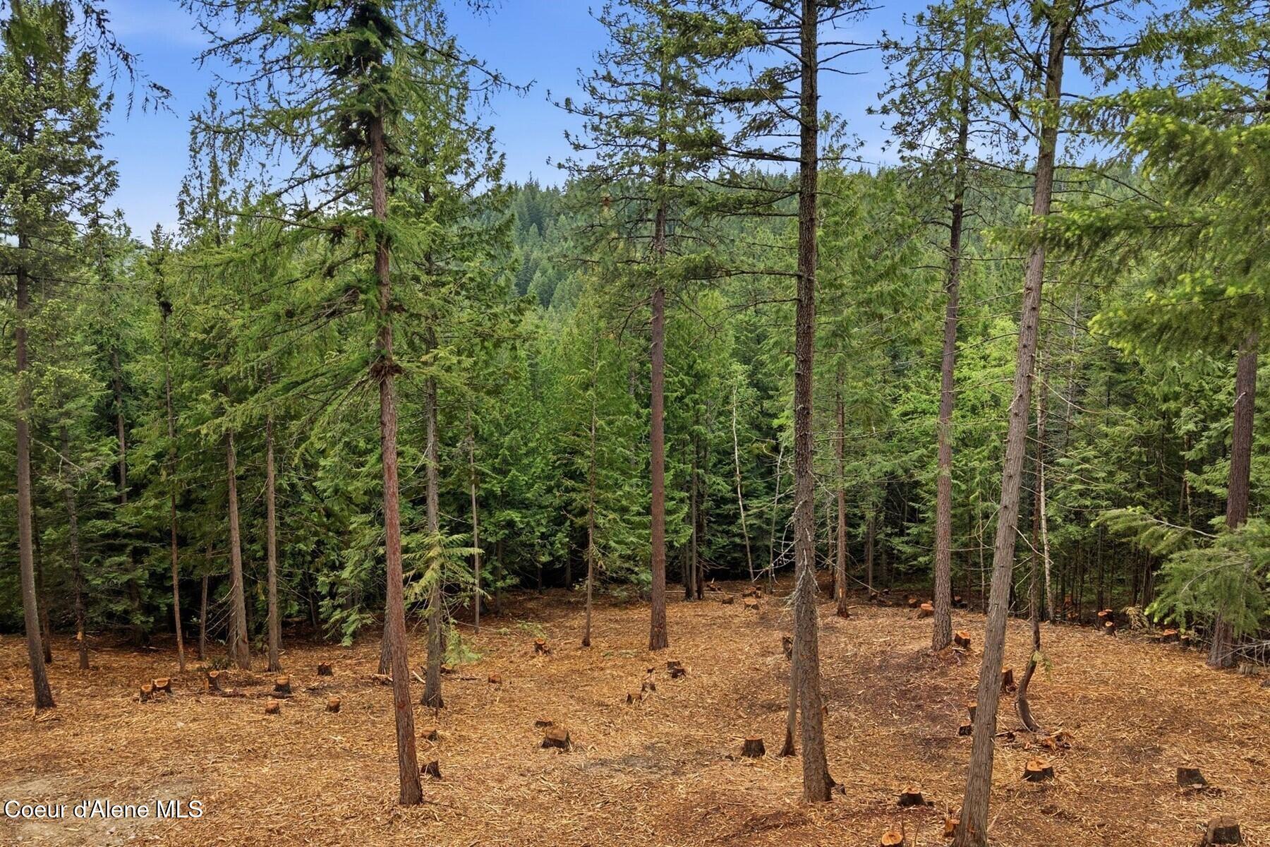 Nna Cedar Ridge Road Sandpoint, ID 83864 - Photo 10 of 30 09