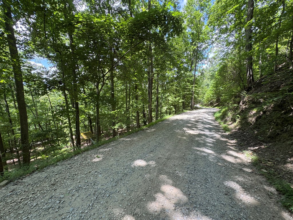 Lot 38 Picklesimer Mountain Road Morganton, GA 30560 - Photo 16 of 18 Gallery Image 16