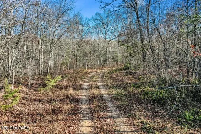 $139,900 | Nashville Avenue, Deer Lodge, TN 37726