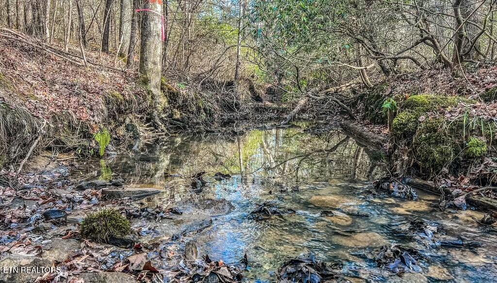 Nashville Avenue Deer Lodge, TN 37726 - Photo 11 of 24 tempImageCmP1Zb