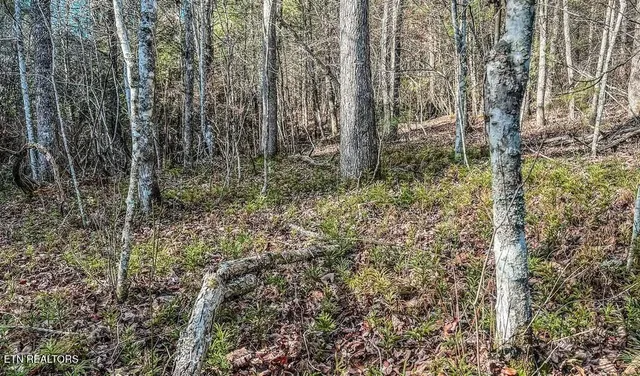 $139,900 | Nashville Avenue, Deer Lodge, TN 37726