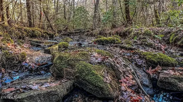 $139,900 | Nashville Avenue, Deer Lodge, TN 37726