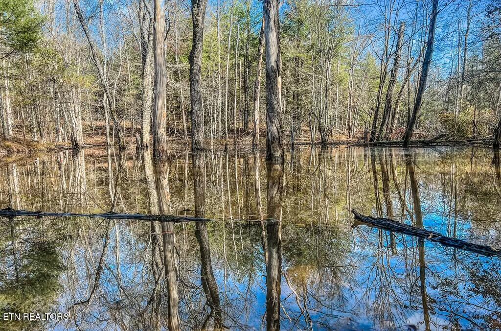 Nashville Avenue Deer Lodge, TN 37726 - Photo 17 of 24 tempImagebHqsTH