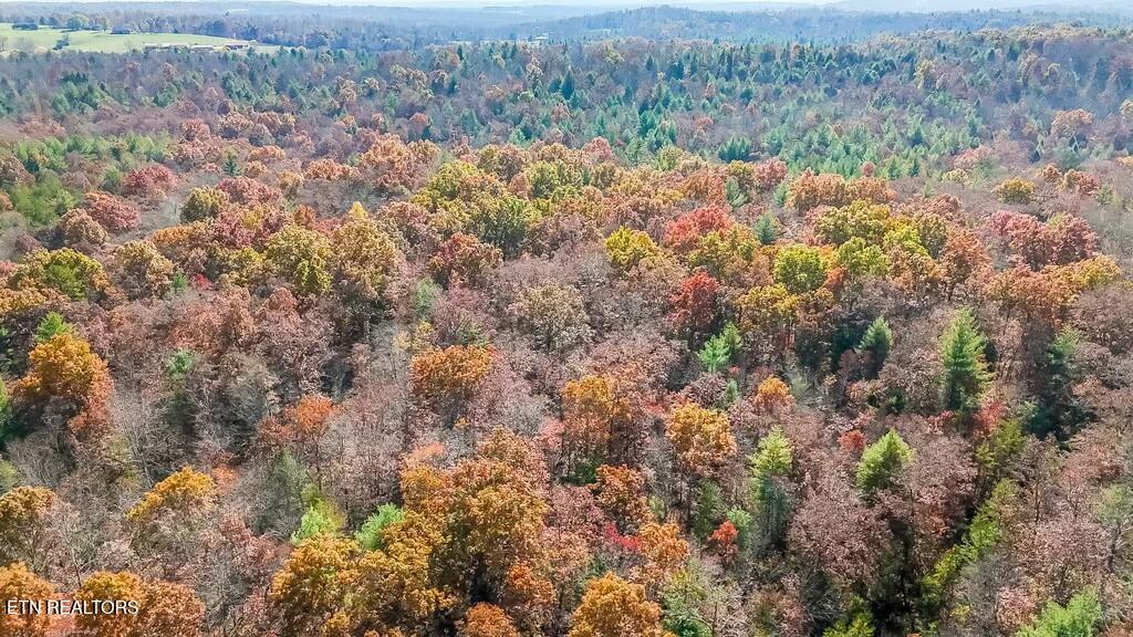 Nashville Avenue Deer Lodge, TN 37726 - Photo 20 of 24 tempImageYRC465