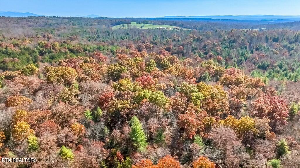 Nashville Avenue Deer Lodge, TN 37726 - Photo 21 of 24 tempImagemvm1WB