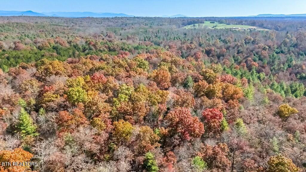Nashville Avenue Deer Lodge, TN 37726 - Photo 22 of 24 tempImageOHLig0