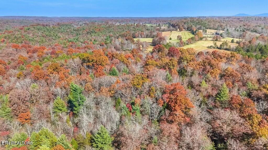 Nashville Avenue Deer Lodge, TN 37726 - Photo 23 of 24 tempImage75w07Y