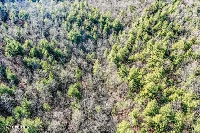 $139,900 | Nashville Avenue, Deer Lodge, TN 37726